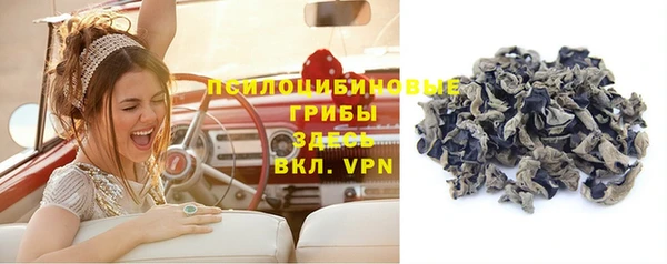гашик Дмитровск