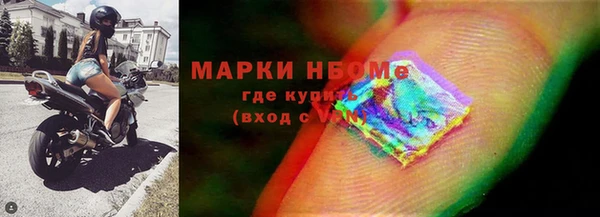 гашик Дмитровск