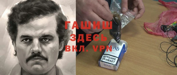 гашик Дмитровск