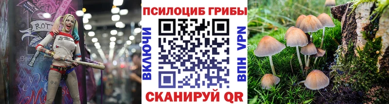 Галлюциногенные грибы Cubensis  Севск 